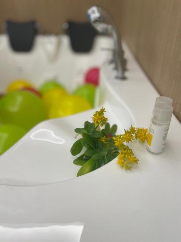 Superior Double Room With Indoor SPA Bath