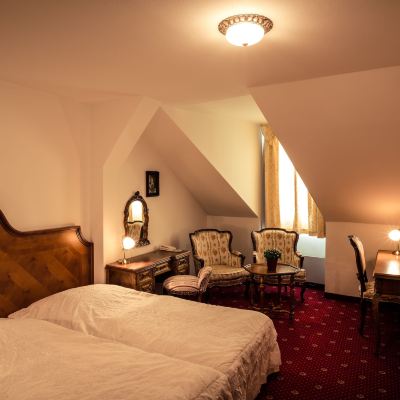 Standard Double or Twin Room Hotel Štekl Promo Code