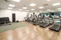 Holiday Inn Express & Suites AUBURN by IHG