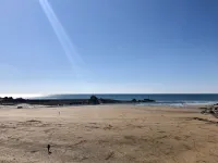 The Tree Inn Hotels in Bude