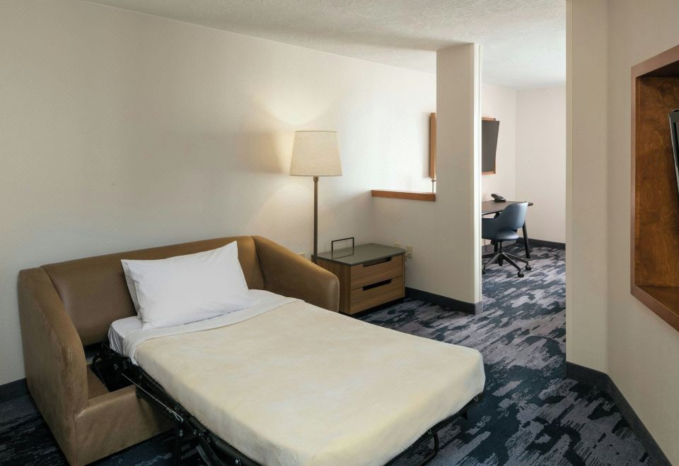 带梳化床的行政特大床套房