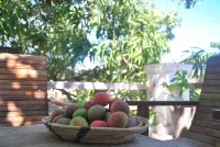 Miti Miwiri Hotels in 