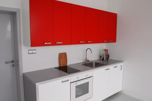 两卧室公寓带露台-洛弗特