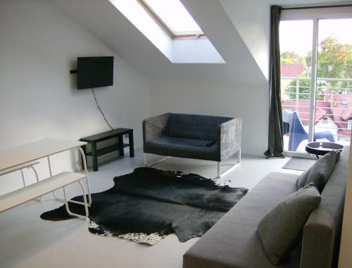 两卧室公寓带露台-洛弗特