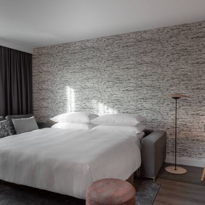 尊貴套房，M俱樂部休息室通行，1張特大床，備選：梳化床 法蘭克福機場萬豪飯店優惠