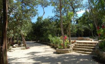 Reserva Ecologica Hacienda Cancun