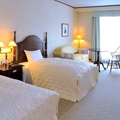 スーペリアツインルーム（バス付き、山の景色） ブルーリッジホテル クーポン