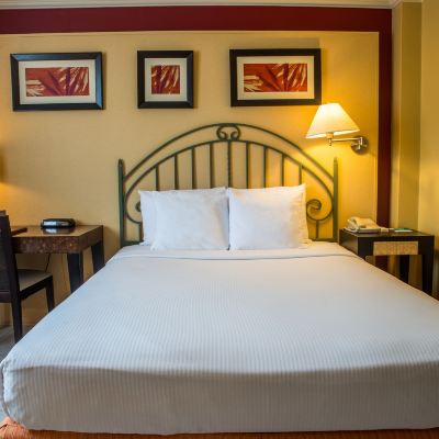 Standard Queen Room Kapok Hotel Promo Code