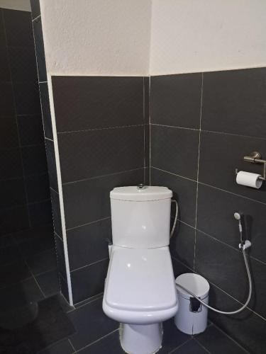 别墅（带独立泳池）