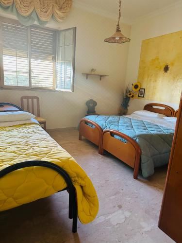 舒适三人间-带淋浴