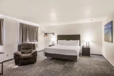 Americas Best Value Inn Birch Run Hotels in 