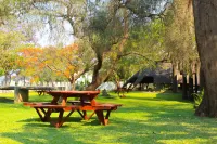Spring Resort Hotels in 
