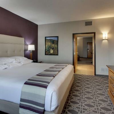King Suite With Sofa Bed Drury Inn & Suites Albuquerque North Promo Code