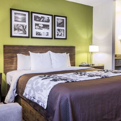 Room, 1 Queen Bed, Accessible, Non Smoking (Roll-in Shower, Pet Friendly) Sleep Inn Walterboro I-95 Promo Code