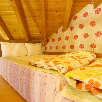 룸 C3 캐빈타운 쿠폰