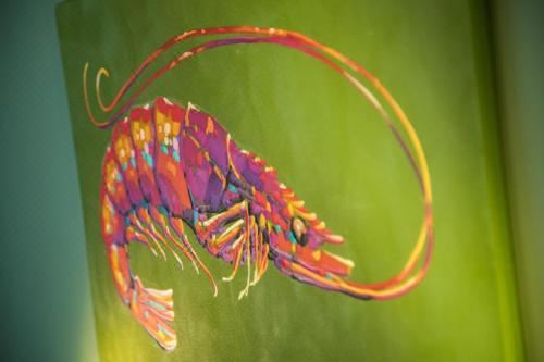 双人或双床间 - 带露台