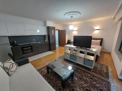 高级公寓（带桑拿浴室）