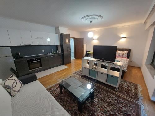 高级公寓（带桑拿浴室）