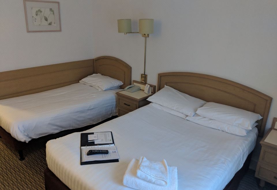 標準客房， 2 張單人床， 無煙房