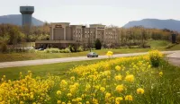 Hampton Inn & Suites Woodstock Hotels in 