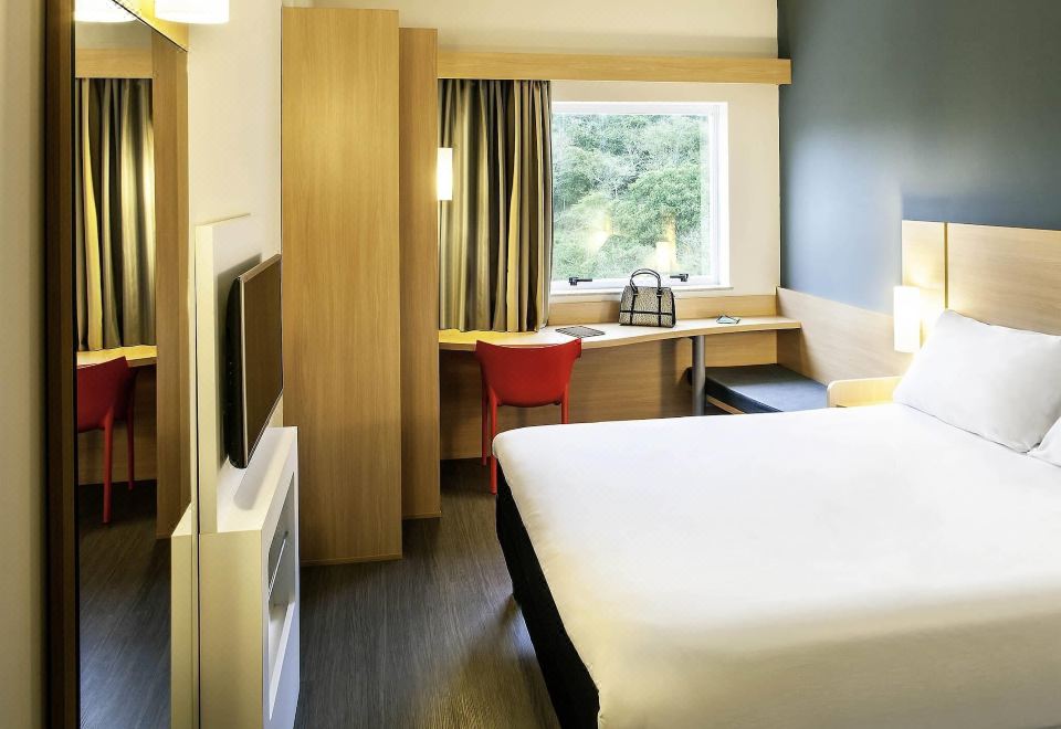 Ibis Juiz de ForaStandard Room with Double Bed