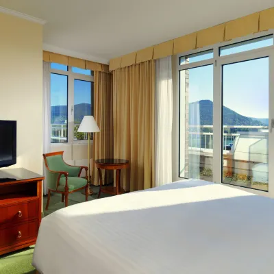 Heidelberg Marriott Hotel Hotels near Botanischer Garten