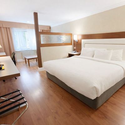 King Suite - Non-Smoking Quality Inn & Suites & Conference Centre - Gatineau Promo Code