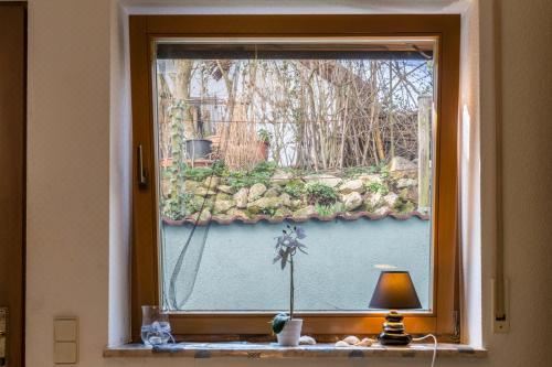 高级一卧室公寓