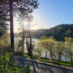 Dogs Are Family Also 240° Lakefront View Spacious Modern Family Retreat Sleeps 8