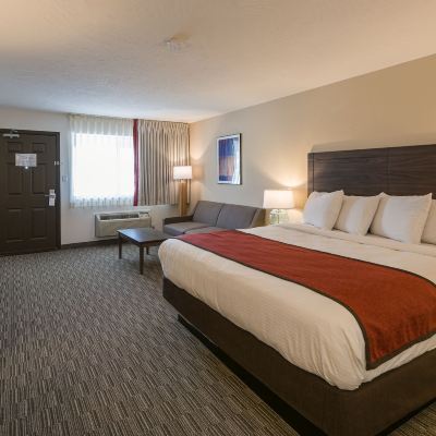 Comfort Single Room, 1 King Bed, Non Smoking Lux Verde Hotel Promo Code