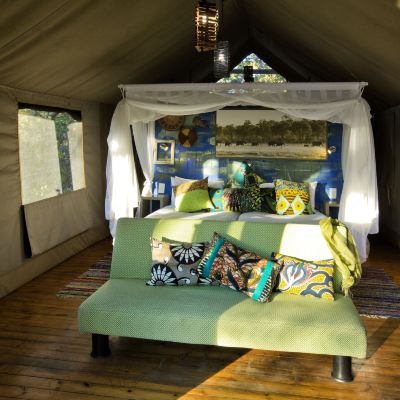 Tent Hyena Pan Promo Code