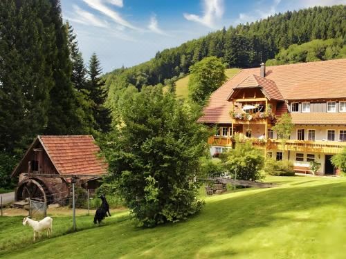 高级一卧室带阳台公寓