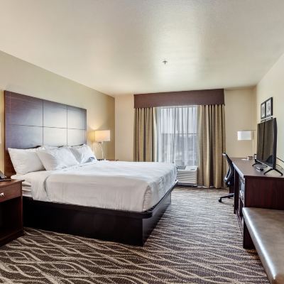 King Room-Non-Smoking Cobblestone Hotel & Suites-Little Chute Promo Code