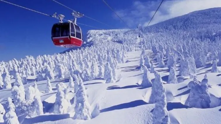 ほほえみの宿 滝の湯 施設