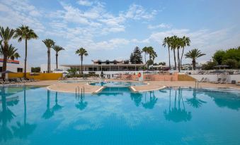 a large outdoor swimming pool surrounded by palm trees , with several people enjoying their time in the pool at Allegro Agadir