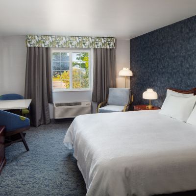 Traditional Room Irish Cottage Inn & Suites Promo Code
