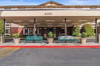 Ellis Island Hotel Casino & Brewery Hotels in 