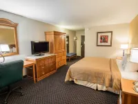 Quality Inn Downtown Stuart Hotels in Stuart