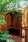 Vista do Lago Jungle Lodge Hotele w: 