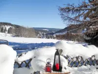 Blechnerhof Ξενοδοχεία στην πόλη Feldberg