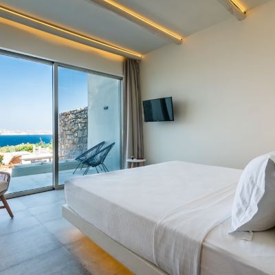 Deluxe Double Suite with Private Pool and Sea View