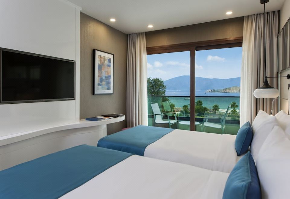 高級2張單人床房