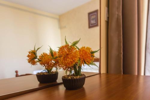 双人间（2位成人+1位小童）