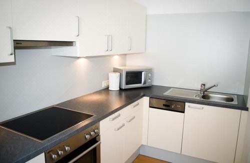 高级两卧室公寓 - 带阳台