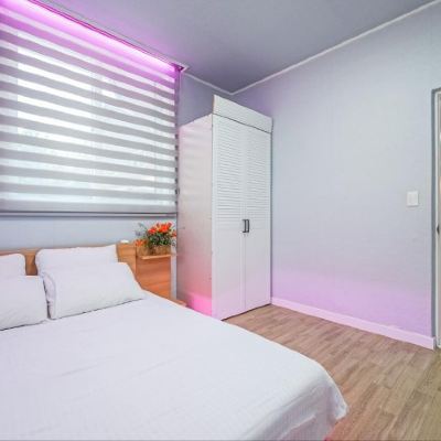 벚꽃 빌딩 독채 가평 실로암써니힐펜션 쿠폰