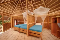 Pine Beach Pakostane - All Inclusive Light Hotels in 