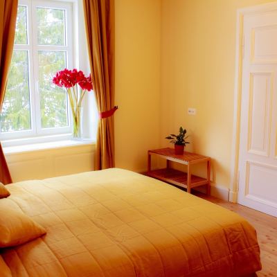 Junior Apartment Maloja Palace Promo Code