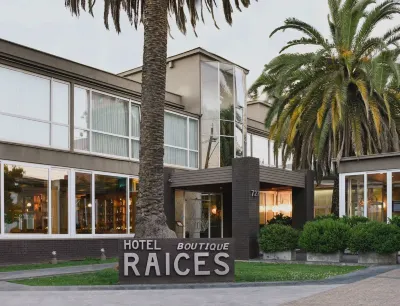 Hotel Boutique Raíces Hotel a 