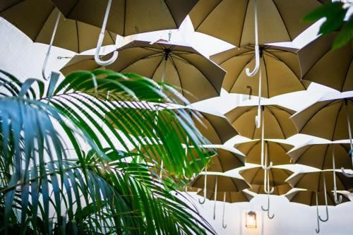 家庭一卧室公寓