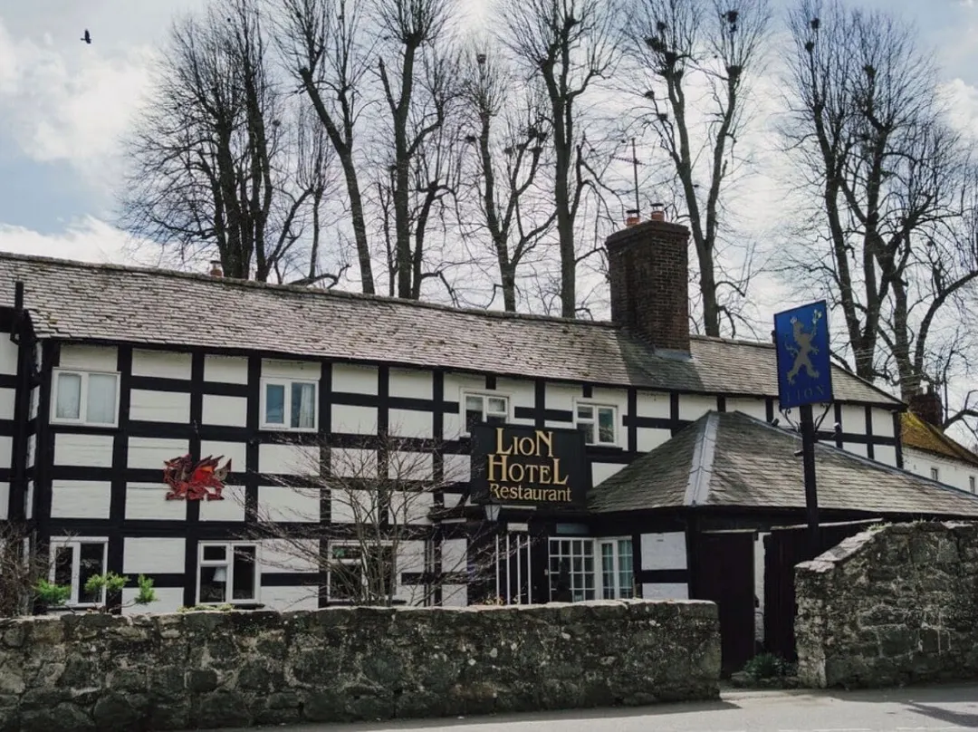 The Lion Hotel - Shropshire